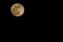 moon.jpg