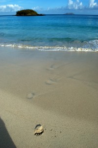 foot print